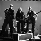 Raubtier - List pictures