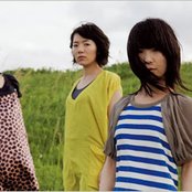 Chat Monchy - List pictures