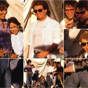 Toto - List pictures