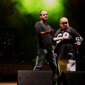 Piersi - List pictures