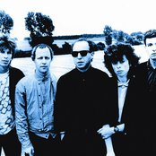 Minimal Compact - List pictures