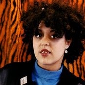 Poly Styrene - List pictures