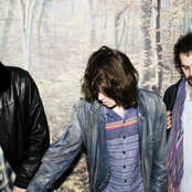 Crystal Fighters - List pictures