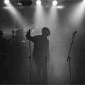 Nervy - List pictures