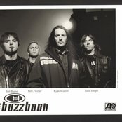 The Buzzhorn - List pictures
