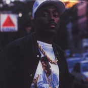 Big Daddy Kane - List pictures