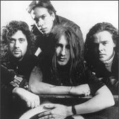 Pop Will Eat Itself - List pictures