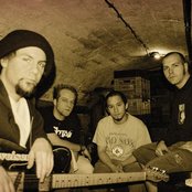 Jaya The Cat - List pictures