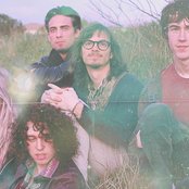 Vinyl Williams - List pictures