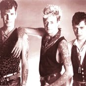 Stray Cats - List pictures