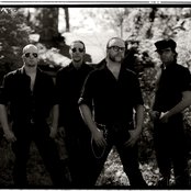 Viikate - List pictures