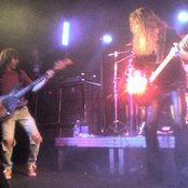 Budgie - List pictures