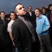 Pietasters - List pictures