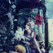 Stevie Nicks - List pictures