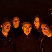 The Amber Herd - List pictures