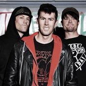 Cobra Skulls - List pictures