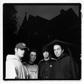 Project 86 - List pictures