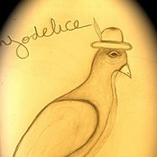 Yodelice - List pictures