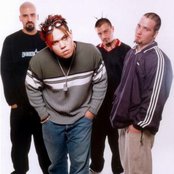 Spineshank - List pictures