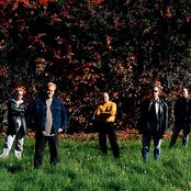 Grand Illusion - List pictures