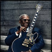 B.b. King - List pictures