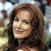 Bird York - List pictures