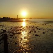 Yawning Sons - List pictures