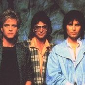 Survivor - List pictures