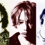 Jude - List pictures