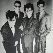 Bauhaus - List pictures