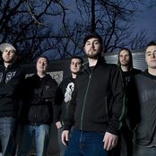 Despised Icon - List pictures