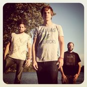 Ivoryline - List pictures