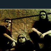 Forest Stream - List pictures