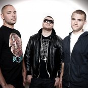 Terravita - List pictures