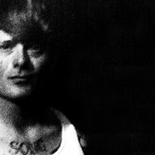 Damaged Bug - List pictures