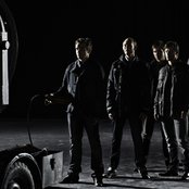 Nephew - List pictures