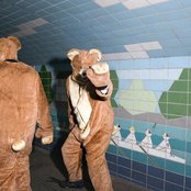 2 Bears - List pictures