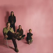 Fly Golden Eagle - List pictures