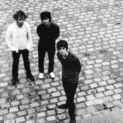 Rascals - List pictures