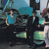 Stray Cats - List pictures
