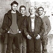 Noir Desir - List pictures