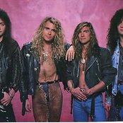 White Lion - List pictures