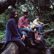 Treetop Flyers - List pictures