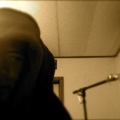 Yellow Ostrich - List pictures