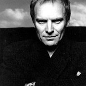 Sting - List pictures