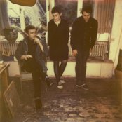 Flowers - List pictures