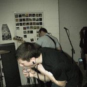 Goose - List pictures