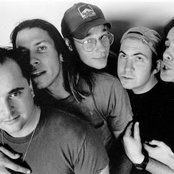 Samiam - List pictures