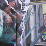 Vertical Scratchers - List pictures