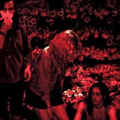 Salem - List pictures